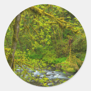 Sticker Rond Des rochers et des arbres moussu bordent Eagle Cre