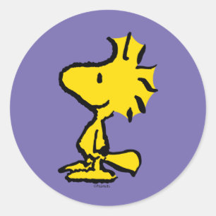 Sticker Rond Design classique Woodstock