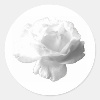 Sticker Rond Design rose blanche