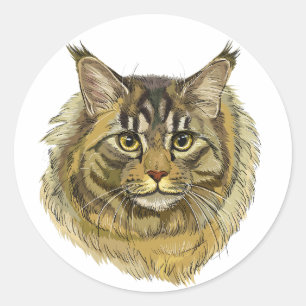 Sticker Rond Dessin à la main fluffy Maine Coon chat