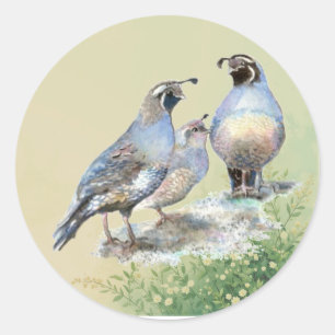 Sticker Rond Dessin à l'aquarelle d'oiseaux de la caille de Cal