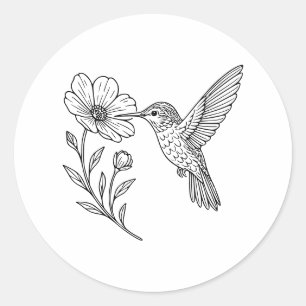 Sticker Rond Dessin au trait détaillé de colibri avec fleur sau