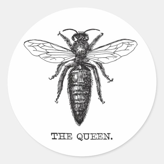 Sticker Rond Dessin classique de l'illustration de Queen Bee (Devant)