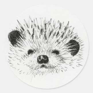Sticker Rond Dessin de hérisson mignon