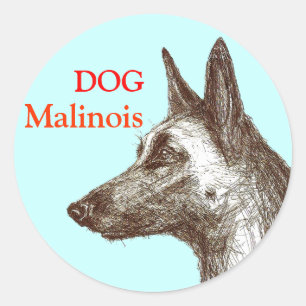 Sticker Rond dessin malinois