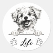 Sticker Rond Dessin personnalisé de chien Pomapoo fait main (Devant)
