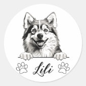 Sticker Rond Dessin personnalisé de chien Pomsky à la main (Devant)