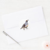 Sticker Rond Dessin Quail minimal mou (Enveloppe)
