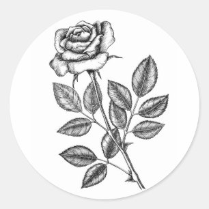 Sticker Rond dessin rose 2