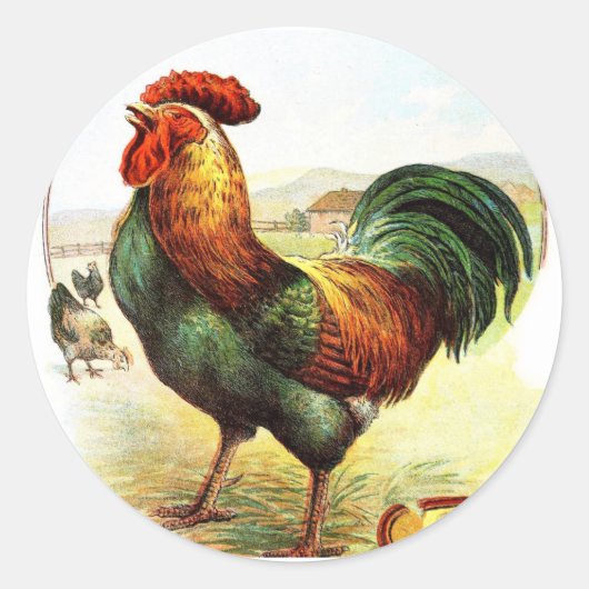 Sticker Rond Dessin vintage : Le Coq (Devant)