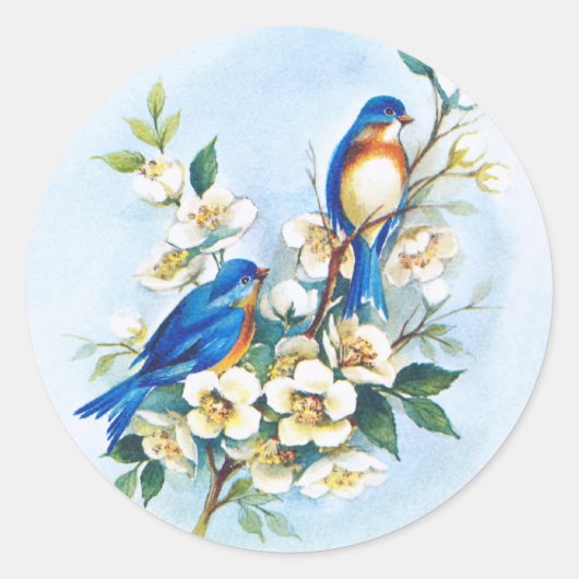 Sticker Rond Deux Bluebirds (Devant)