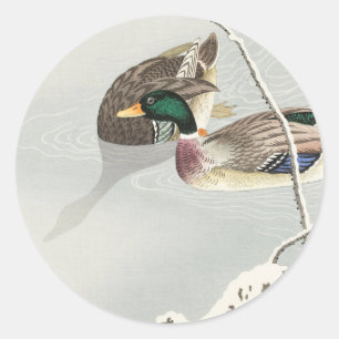 Sticker Rond Deux canards colverts vintages