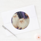 Sticker Rond Deux chats Poing (Enveloppe)