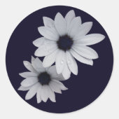 Sticker Rond deux fleurs blanches (Devant)