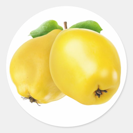 Sticker Rond Deux fruits de coing (Devant)