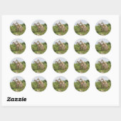 Sticker Rond Deux girafes (Feuille)