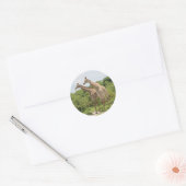 Sticker Rond Deux girafes (Enveloppe)