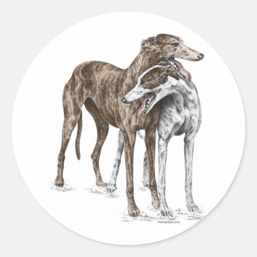 Sticker Rond Deux Greyhound Friends Dog Art (Devant)
