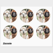 Sticker Rond Deux lamas (Feuille)