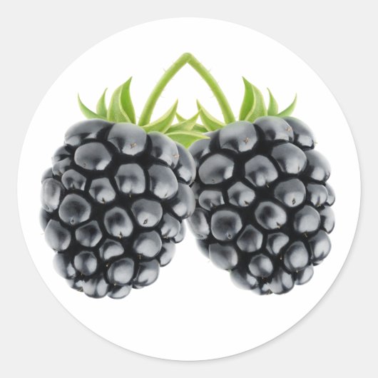 Sticker Rond Deux mûres (Devant)