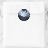 Sticker Rond Deux plumes de flamme et réflexion (Sac)