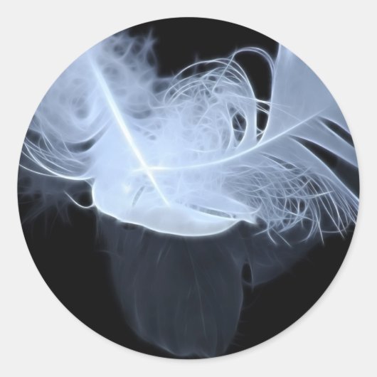 Sticker Rond Deux plumes de flamme et réflexion (Devant)