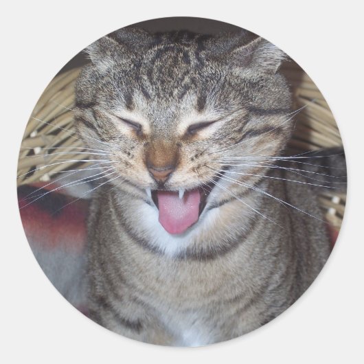 Sticker Rond Diablo Kitty (Devant)
