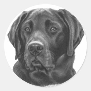 Sticker Rond Diesel, Black Labrador Retriever
