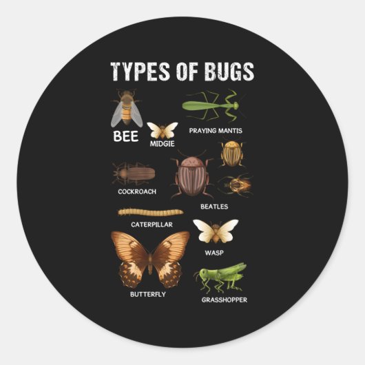 Sticker Rond Différents types d'insectes Bogue Hropode Entomolo (Devant)