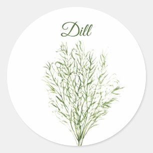 Sticker Rond Dill Herb Green Cuisine Cuisine culinaire vert Pla