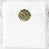 Sticker Rond Dinosaure Spinosaurus (Sac)