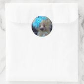 Sticker Rond Dionna bear (Sac)