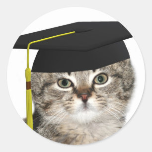 Sticker Rond Diplômés de chaton