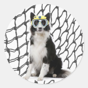 Sticker Rond Ditzy Dogs~Sticker original~Bordure Collie