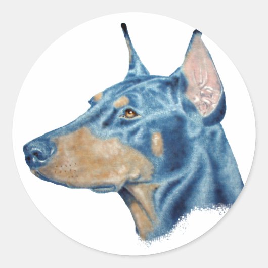 Sticker Rond Doberman (Devant)