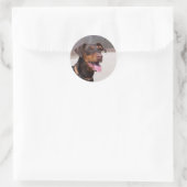 Sticker Rond Doberman (Sac)