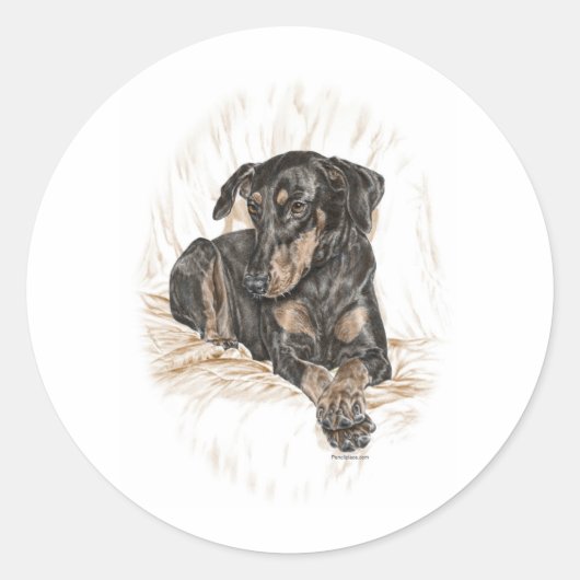 Sticker Rond Doberman Chien oreilles naturelles (Devant)