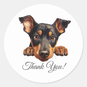 Sticker Rond Doberman Pinscher Chien Merci