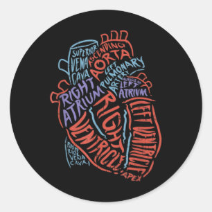 Sticker Rond Docteur en anatomie cardiologue Biologie Médicale