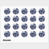 Sticker Rond Dodo Bird (Feuille)