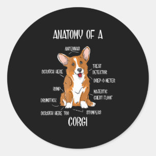 Sticker Rond Dog Anatomy , Cute Welsh Corgi Cadeau De Biologie 