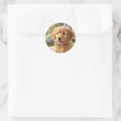 Sticker Rond Dog cat pet name photo template simple minimal  (Sac)