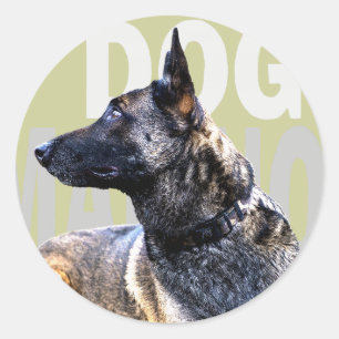Sticker Rond dog malinois china