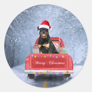 Sticker Rond Dog Rottweiler en neige assis sur un camion de Noë