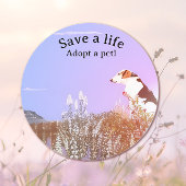 Sticker Rond Dog Waiting for his Family