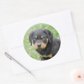 Sticker Rond Doggy McDogface Rottweiler Puppy (Enveloppe)
