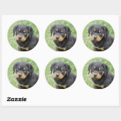 Sticker Rond Doggy McDogface Rottweiler Puppy (Feuille)