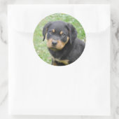 Sticker Rond Doggy McDogface Rottweiler Puppy (Sac)