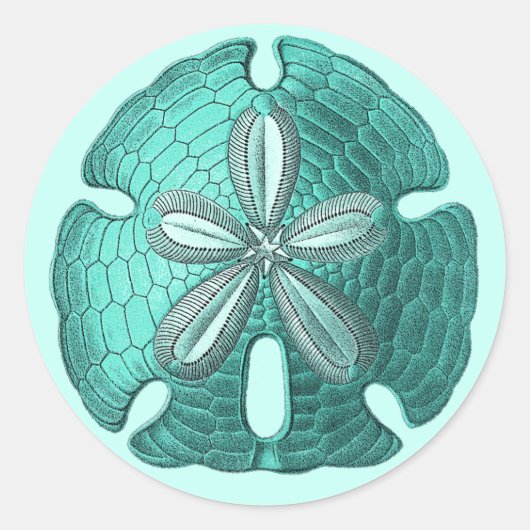 Sticker Rond Dollar Aqua Sand (Devant)