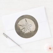 Sticker Rond Dollar de sable (Echinarachnius parma) (Enveloppe)